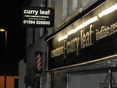 Curry Leaf