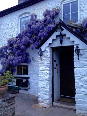 The Halfway, Tal-y-coed