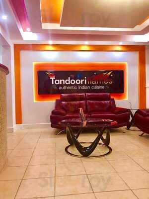 Tandoori Flames