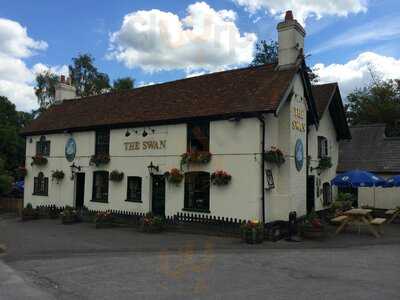 The Swan