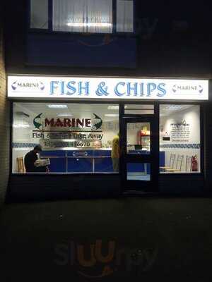 Marine Fish And Chips