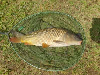 Moss Farm Fisheries Farm Shop & Cafe