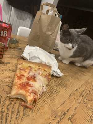 The Pizza Base