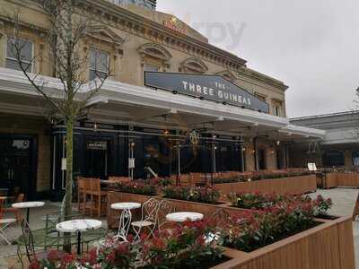 The Three Guineas, Reading