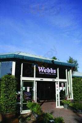 Webbs