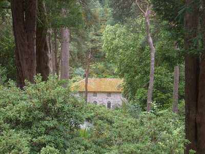 Tea Stop In The Dell