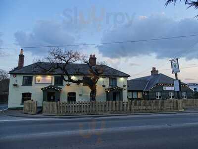 The Royal Oak