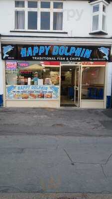 Happy Dolphin