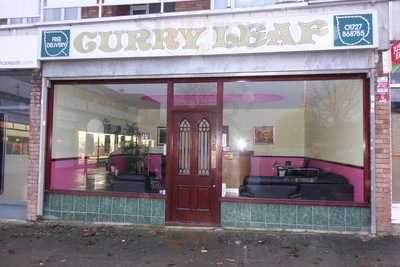 Curry Leaf