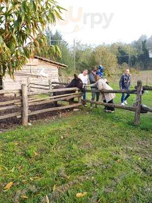 Agriturismo La Sorgente