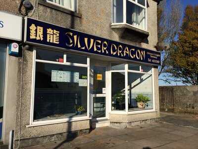 Silver Dragon