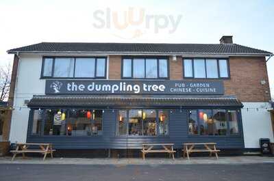 The Dumpling Tree