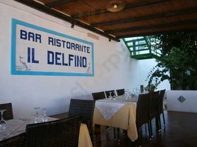 Il Delfino Ristorante