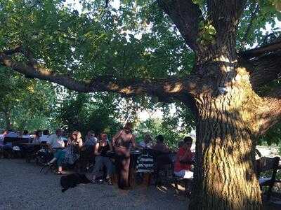 Biergarten Gumpp