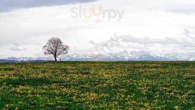 Café Alpenblick