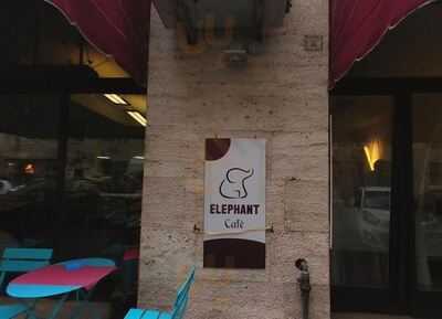 Elephant Cafè, Livorno