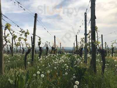 Schwarzes Häuschen - Ausschank Im Steinberg