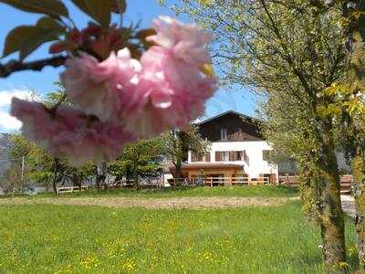 Agriturismo Cascina Dolomiti, Cesiomaggiore