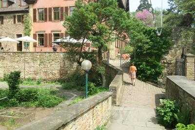 Schloss Deidesheim - Restaurant / Weinstube / Gartenterrasse