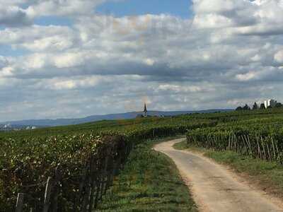 Weingut Weilbächer & Gutsausschank Klosterhof