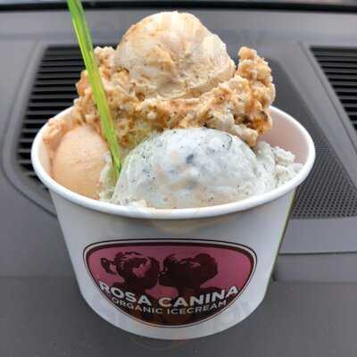 Rosa Canina Organic Icecream