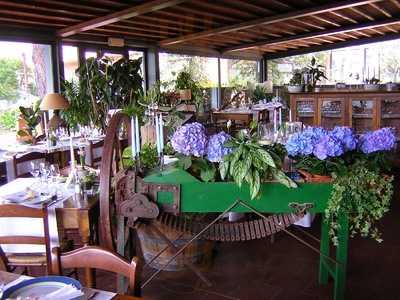 Ristorante Da Nisio, San Gimignano