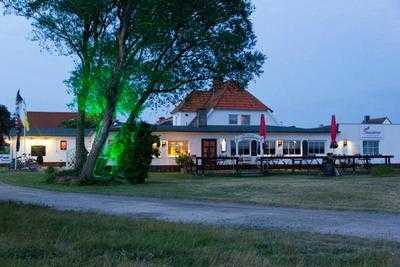 Stranddistel Hiddensee