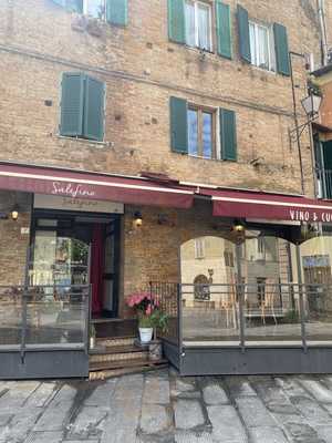 Salefino Vino & Cucina, Siena