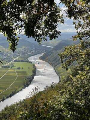 Weingut Arthur Schmitt-veit