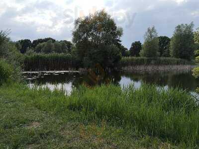 Fischers Land Boek