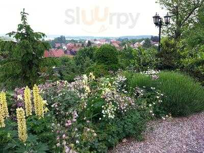 Hotel Und Restaurant Waldhaus