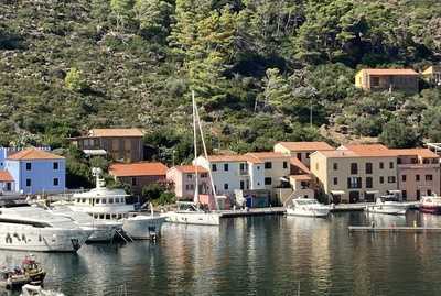 Azienda Agricola Biologica Valle di Portovecchio, Capraia Isola