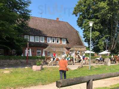 Heide-landhaus Dohle Gmbh