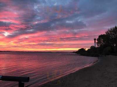 Strandfloh Kollmar