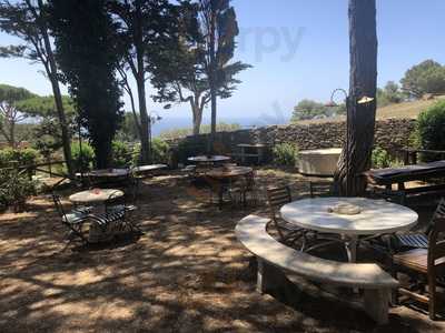 Il Giardino Della Taverna Di Populonia