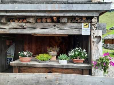 Zingerlehutte, Rio di Pusteria