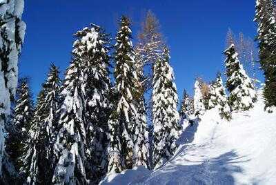 Rifugio Sette Selle