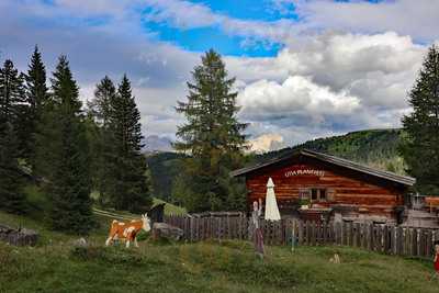 Malga Munt Planfisti, Corvara in Badia