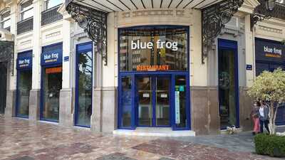 Blue Frog