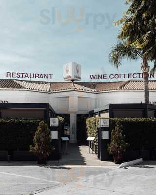 D-wine Restaurant