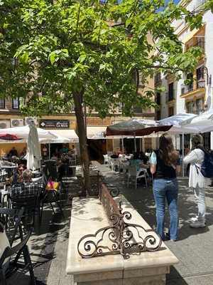 Bodeguita Fabiola Ii