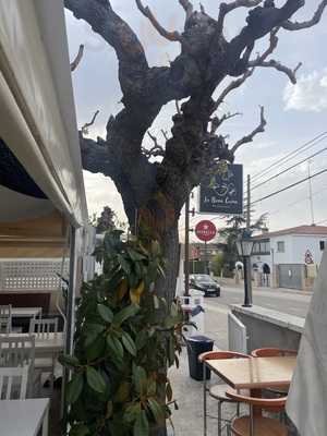 Restaurante La Bona Cuina Sense