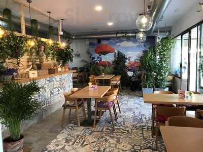 Organic Cafe