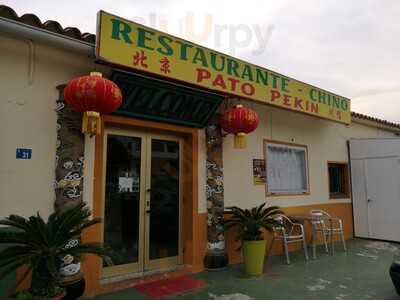 Restaurante Chino Pato Pekin