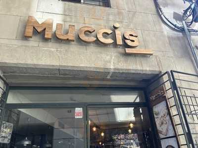 Muccis