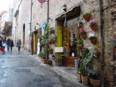 Drinkingwine, Spello