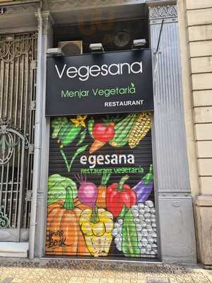 Vegesana