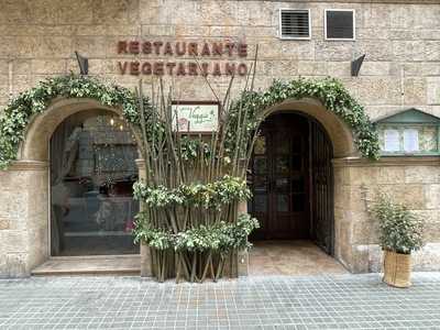 Veggie Kitchen