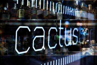 Cactus Bar