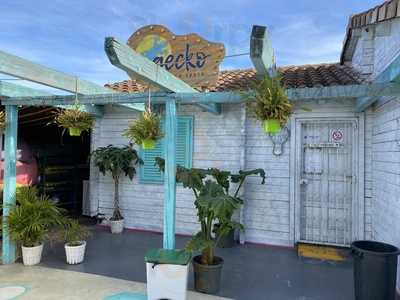 Gecko Beach Shack